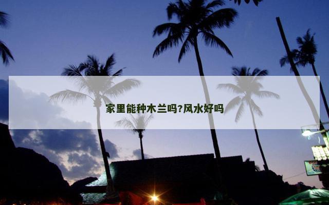 家里能种木兰吗?风水好吗
