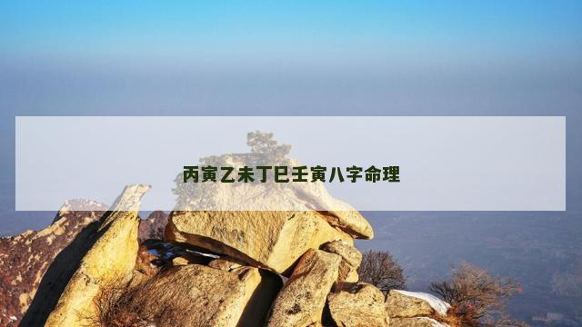 丙寅乙未丁巳壬寅八字命理