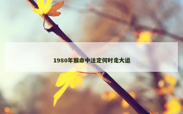 1980年猴命中注定何时走大运