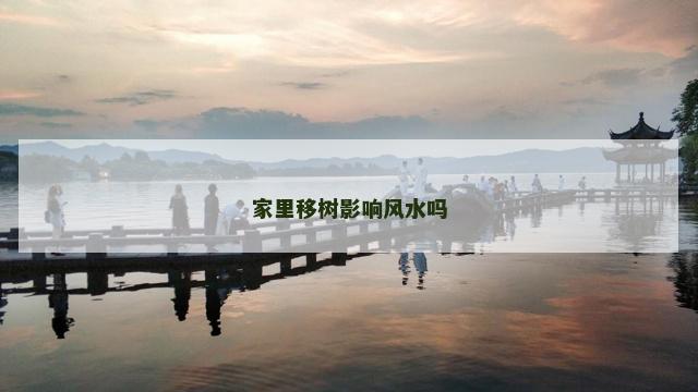 家里移树影响风水吗