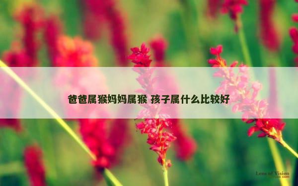 爸爸属猴妈妈属猴 孩子属什么比较好