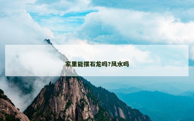 家里能摆石龙吗?风水吗