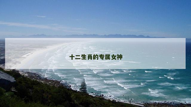 十二生肖的专属女神