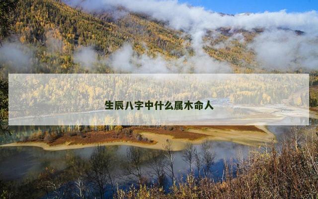 生辰八字中什么属木命人