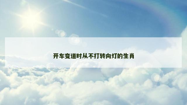 开车变道时从不打转向灯的生肖