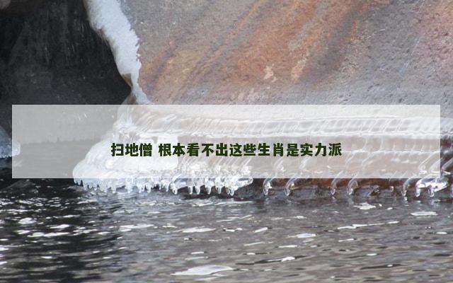 扫地僧 根本看不出这些生肖是实力派