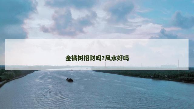 金橘树招财吗?风水好吗