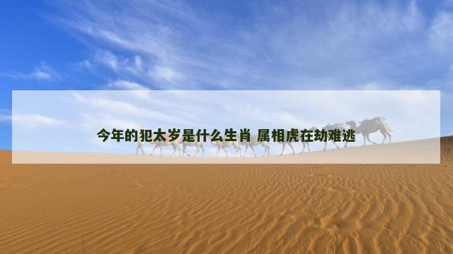 今年的犯太岁是什么生肖 属相虎在劫难逃