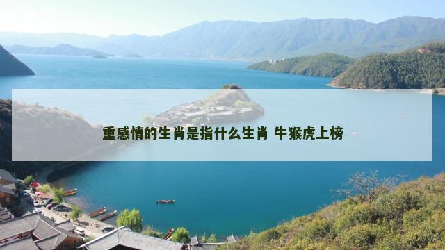 重感情的生肖是指什么生肖 牛猴虎上榜