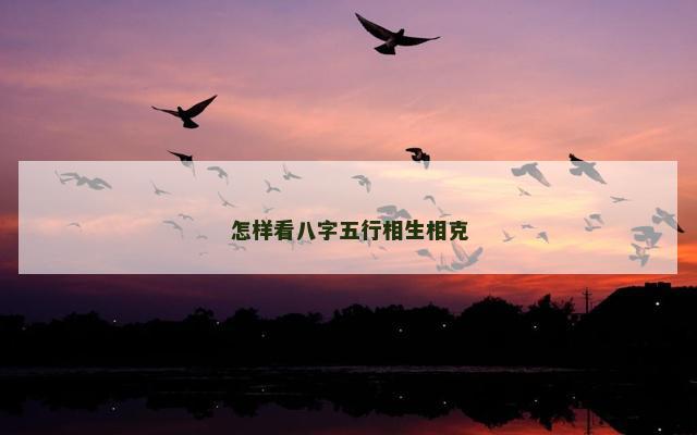怎样看八字五行相生相克