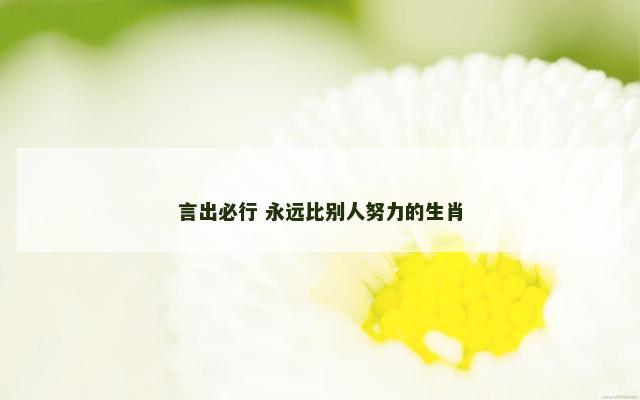 言出必行 永远比别人努力的生肖