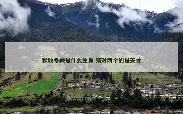 秋收冬藏是什么生肖 猜对两个的是天才
