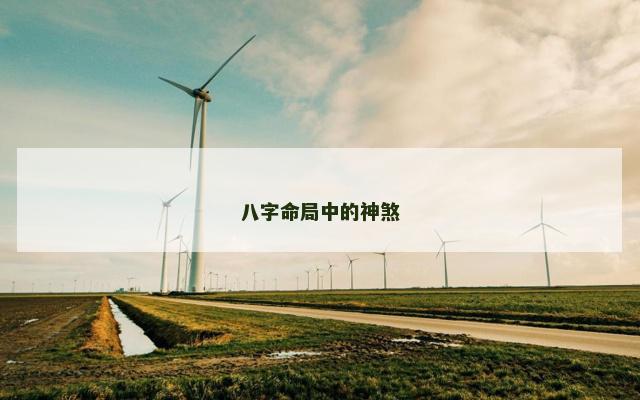 八字命局中的神煞