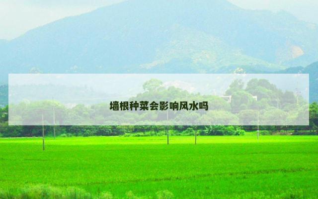 墙根种菜会影响风水吗