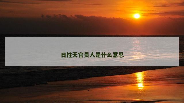 日柱天官贵人是什么意思