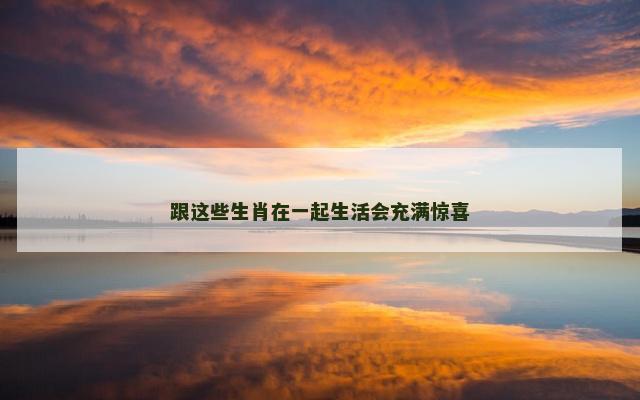 跟这些生肖在一起生活会充满惊喜