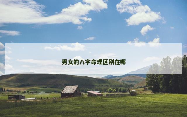 男女的八字命理区别在哪