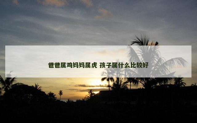 爸爸属鸡妈妈属虎 孩子属什么比较好