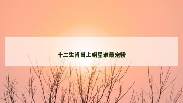 十二生肖当上明星谁最宠粉