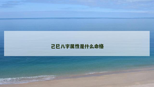 己巳八字属性是什么命格