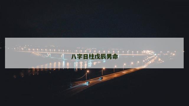 八字日柱戊辰男命