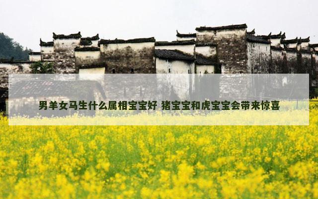 男羊女马生什么属相宝宝好 猪宝宝和虎宝宝会带来惊喜