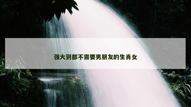 强大到都不需要男朋友的生肖女