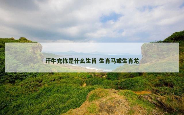 汗牛充栋是什么生肖 生肖马或生肖龙