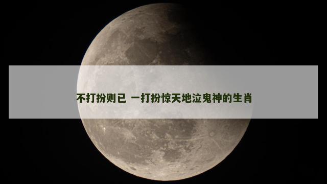 不打扮则已 一打扮惊天地泣鬼神的生肖
