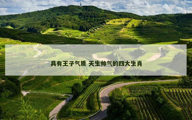 具有王子气质 天生帅气的四大生肖