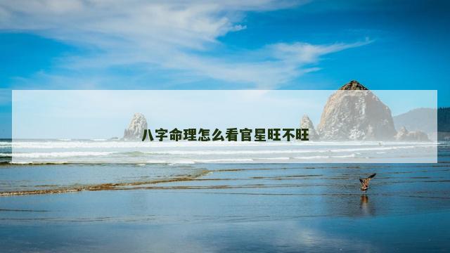 八字命理怎么看官星旺不旺