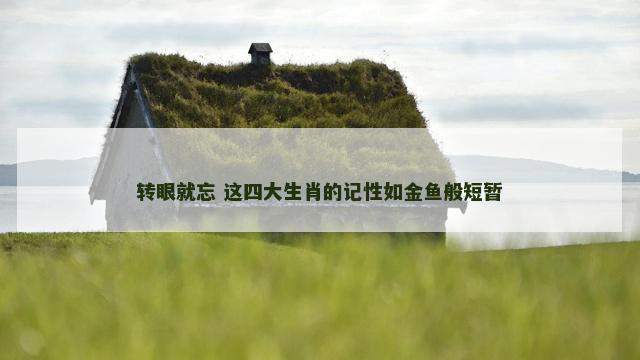 转眼就忘 这四大生肖的记性如金鱼般短暂
