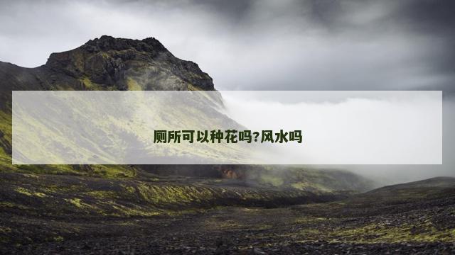 厕所可以种花吗?风水吗