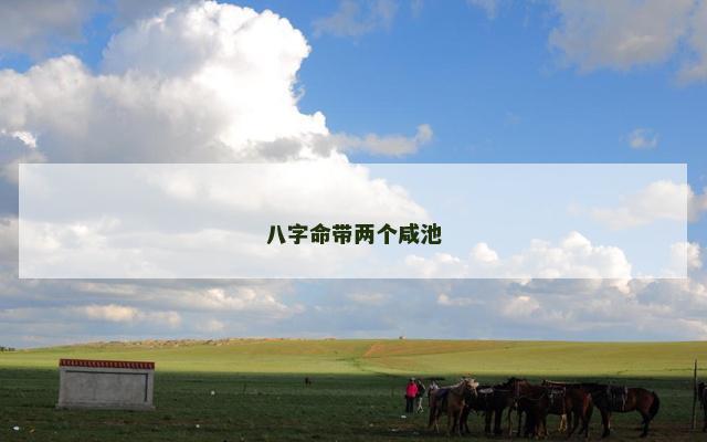 八字命带两个咸池