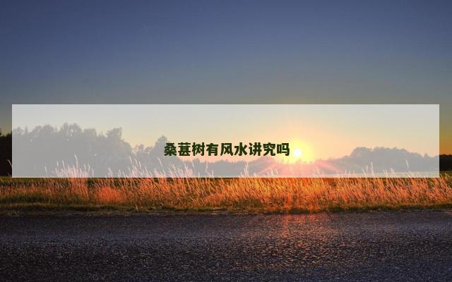 桑葚树有风水讲究吗