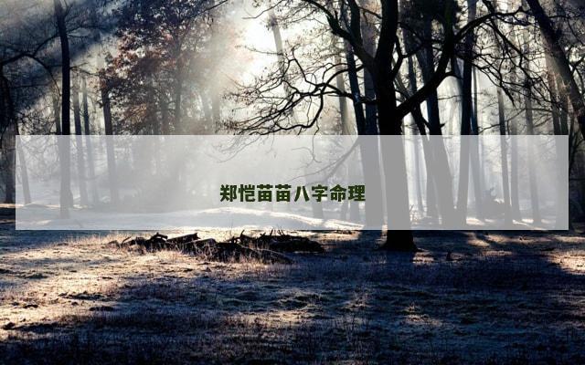 郑恺苗苗八字命理