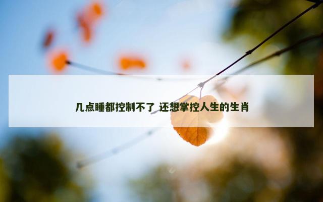 几点睡都控制不了 还想掌控人生的生肖