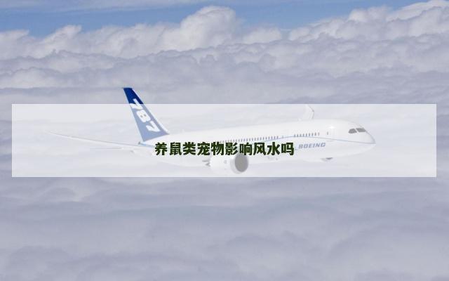 养鼠类宠物影响风水吗