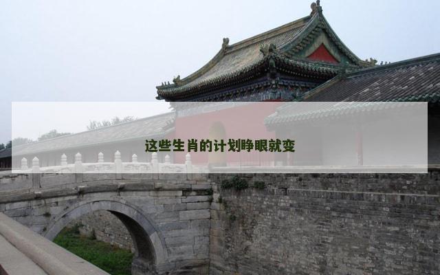 这些生肖的计划睁眼就变
