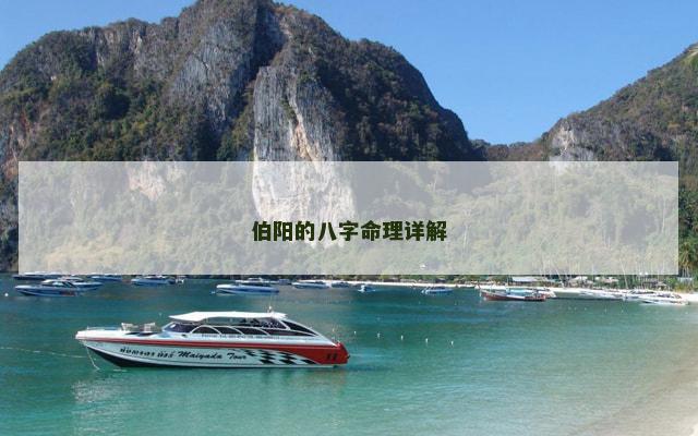 伯阳的八字命理详解