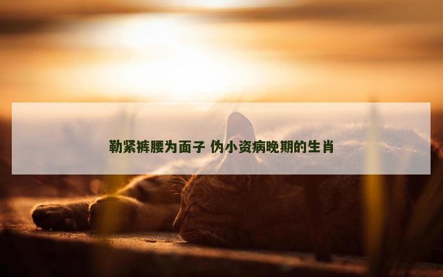 勒紧裤腰为面子 伪小资病晚期的生肖