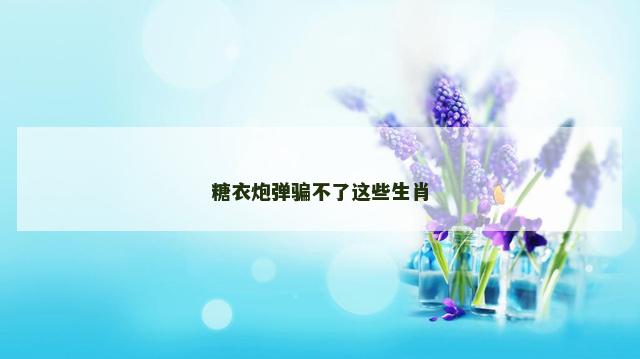 糖衣炮弹骗不了这些生肖