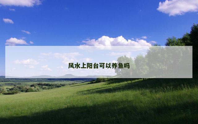 风水上阳台可以养鱼吗