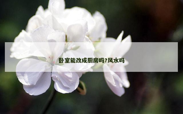 卧室能改成厨房吗?风水吗
