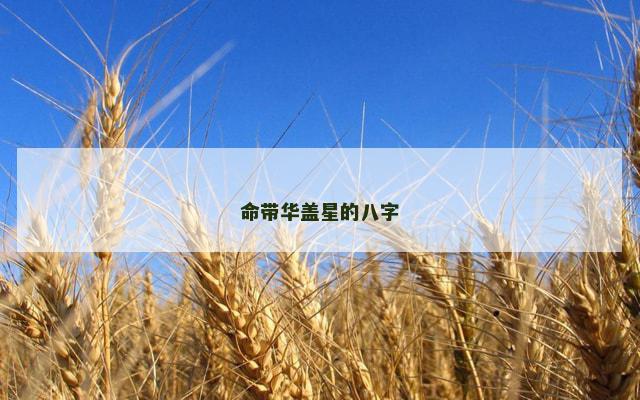 命带华盖星的八字