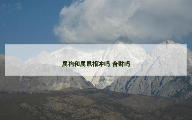 属狗和属鼠相冲吗 合财吗