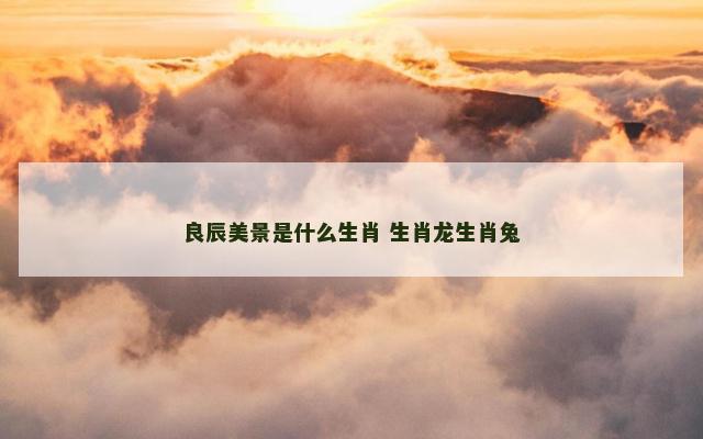 良辰美景是什么生肖 生肖龙生肖兔