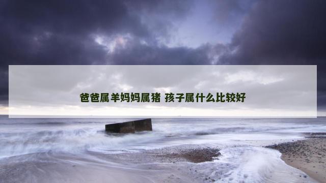 爸爸属羊妈妈属猪 孩子属什么比较好