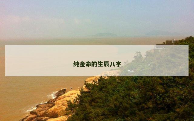 纯金命的生辰八字