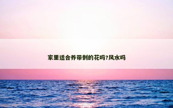家里适合养带刺的花吗?风水吗